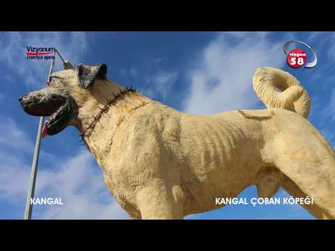 KANGAL İLÇESİ TANITIM FİLMİ- SİVAS