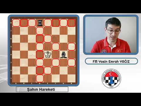Satranç Dersleri 7 Şahın Hareketleri